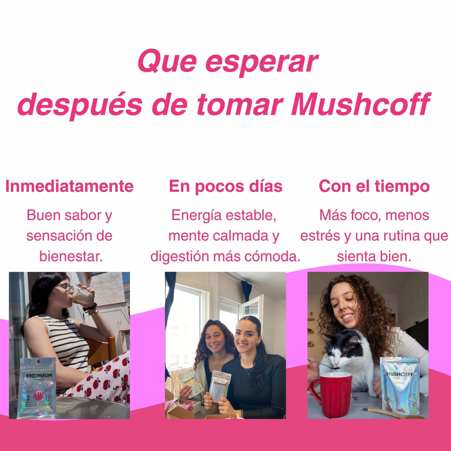 Pack de lanzamiento · Café + Cacao